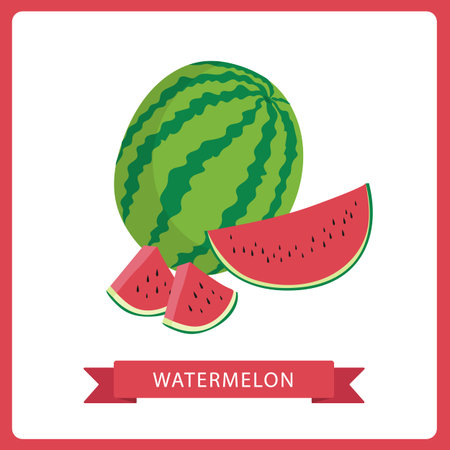 Watermelon whole and sliced vector illustration isolated on white background.のイラスト素材