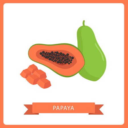 Whole and sliced papaya fruit vector illustration isolated on white background.のイラスト素材