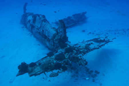 Hawaii WWII airplane wreck dive siteの写真素材
