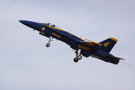 Blue Angels F-18 fighter jet flying at 2014 Air Show