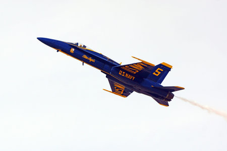 Airplane Blue Angels F-18 Hornet jet fighter
