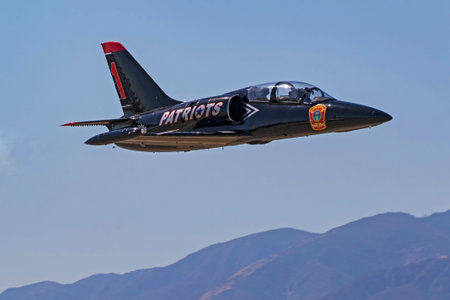 Airplane Patriots Jet Team L-39 Albatross