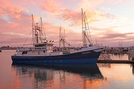 San Diego marina at sunset