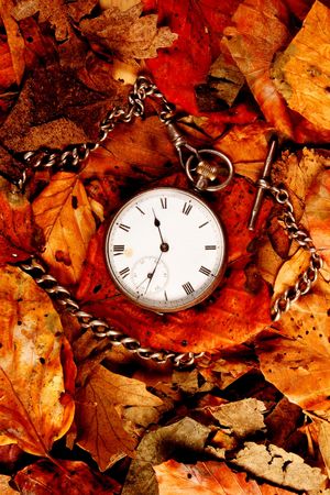 Antique pocket watch on Fall leavesの写真素材