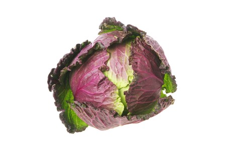 Red and green cabbage isolated against whiteの写真素材