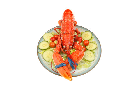 Lobster on a bed of salad on a plate isolated against whiteの写真素材