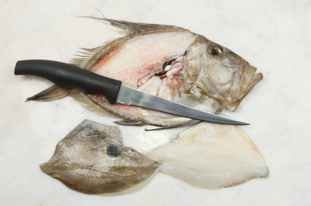 Filleted John Dory fish with a filleting knife on a marble slab