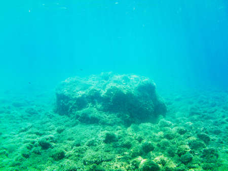 Scuba Diving activity exploring the seabed of the Tuscan Archipelago National Park in Italy.の写真素材