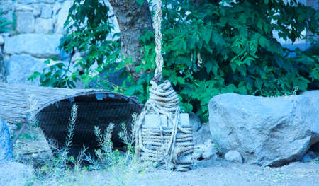 Dama dama, house, Live natureの写真素材