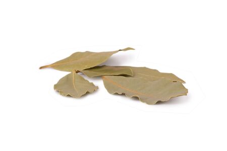 Dry bay leaves isolated on white backgroundの写真素材