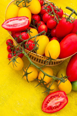 Juicy red and yellow tomatoes on the tableの写真素材