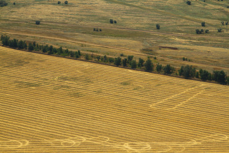 Aerial view of farmland sunny summer day.