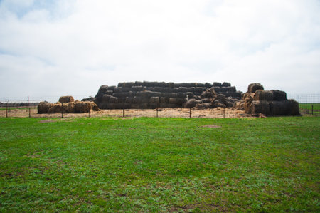 Hay and straw bales in the sunny spring dayの写真素材