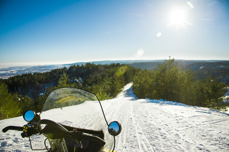 Coniferous forest in winter lighted with sunの写真素材