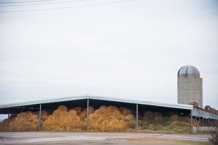 The hay storage shed full of bales hay on farmの写真素材
