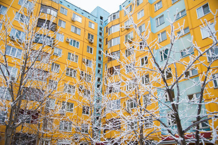 Snow-covered trees in a city park in the winterの写真素材