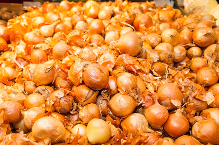 Fresh organic yellow onions at the supermarketの写真素材