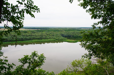 Beautiful summer landscape on the river bank, sunny day