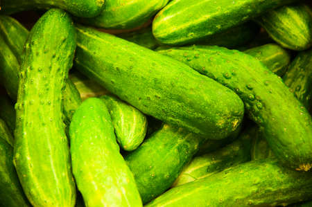 Bunch of cucumbers on boxes in supermarketの写真素材