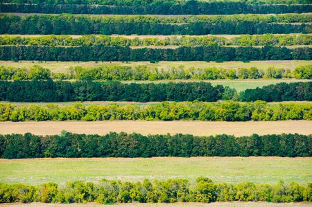 Aerial view of fields and meadows during a summer dayの写真素材
