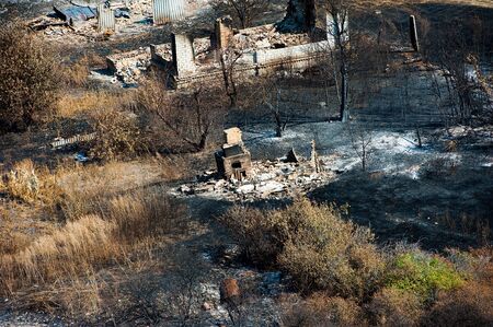 Scorched trees and grass after the fire. Aerial view. Landscapeの写真素材
