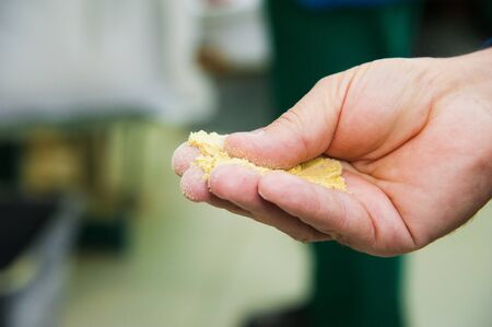 Factory for the production of mustard powder and mustard oilの写真素材