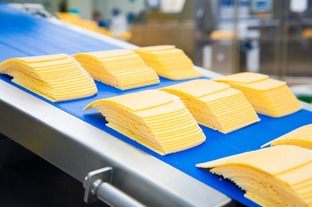 Industrial production of hard cheeses. Cheese is very tasty and healthy product