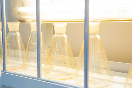 Chemical industry bulb with blue magenta pink liquid lab tubes stand on the table in the laboratoryの写真素材