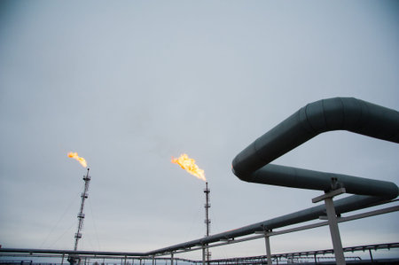 Oil and gas industry,refinery factory. Industrial installation in oil and gas production