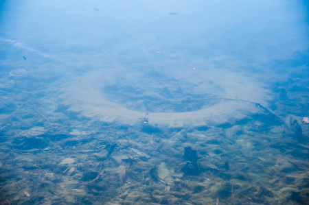 Plastic bottles and garbage waste on the shore of a river.の写真素材