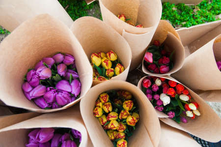 Spring scene of tulip field. Agribusiness greenhouse seedling spring.の写真素材