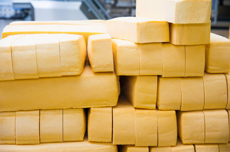 Industrial production of hard cheeses. Cheese is very tasty and healthy product