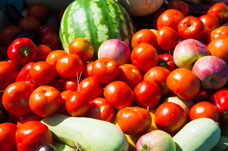 Fresh vegetable harvest nature outdoor. Fresh vegetables and fruits backgroundの写真素材