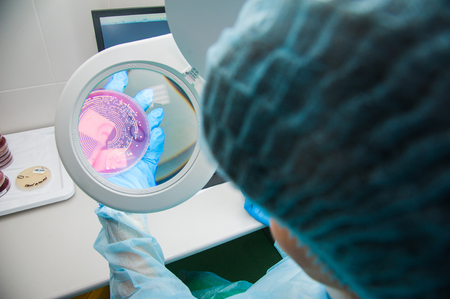 Working table with Biological samples on the microbiology laboratoryの写真素材