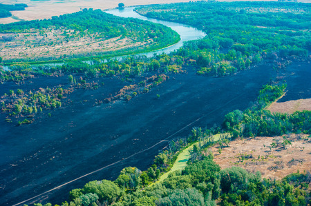 Scorched trees and grass after the fire. Aerial view. Landscapeの写真素材