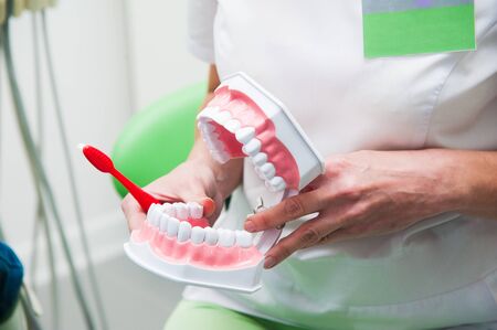 Dentist work with Denture. Teach how to Toothbrush make good clean mouthの写真素材