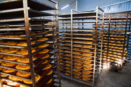 Bakery. Production of bread, rolls, pies and cookies. Baker's job