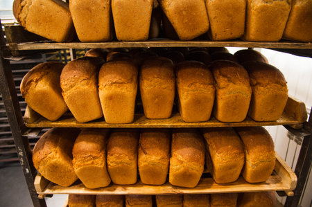 Bakery. Production of bread, rolls, pies and cookies. Baker's job