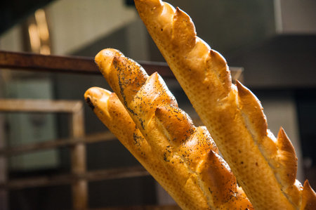 Bakery. Production of bread, rolls, pies and cookies. Baker's job