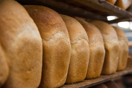 Bakery. Production of bread, rolls, pies and cookies. Baker's jobの写真素材