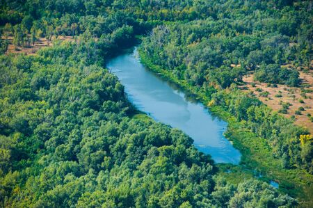 Aerial view of forest during a summer dayの写真素材