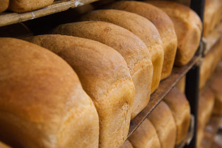Bakery. Production of bread, rolls, pies and cookies. Baker's job