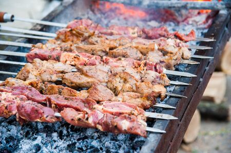 Cooking shashlik on the mangal in natureの写真素材