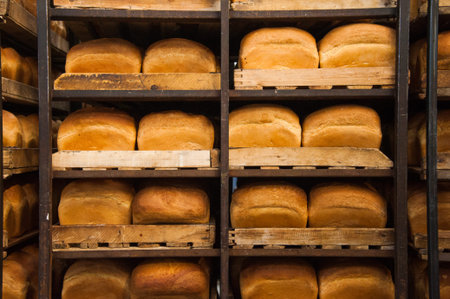 Bakery. Production of bread, rolls, pies and cookies. Baker's job