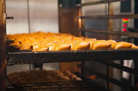 Bakery. Production of bread, rolls, pies and cookies. Baker's jobの写真素材