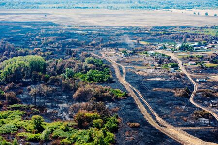 Scorched trees and grass after the fire. Aerial view. Landscapeの写真素材