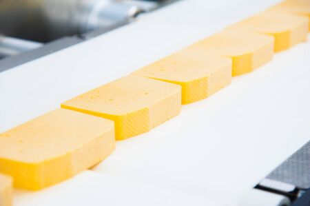 Industrial production of hard cheeses. Cheese is very tasty and healthy productの写真素材