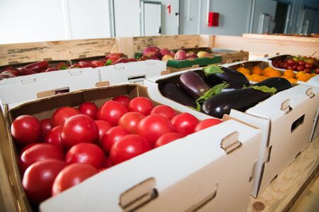 Vegetable farmer market counter: Colorful various fresh organic healthy vegetables and fruits at vegetable store.の写真素材