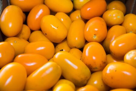 Fresh fruits and vegetables. Yellow tomatoes is sold in the marketの写真素材