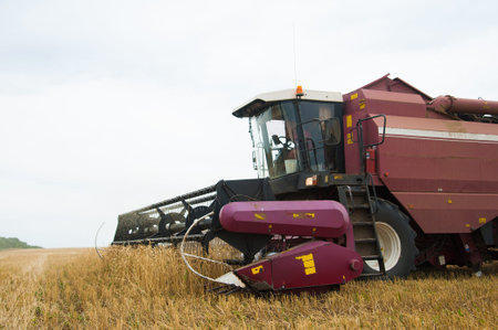 Combine harvesters in a field of wheat to harvest